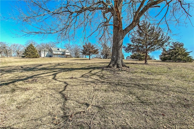 view of yard with a rural view