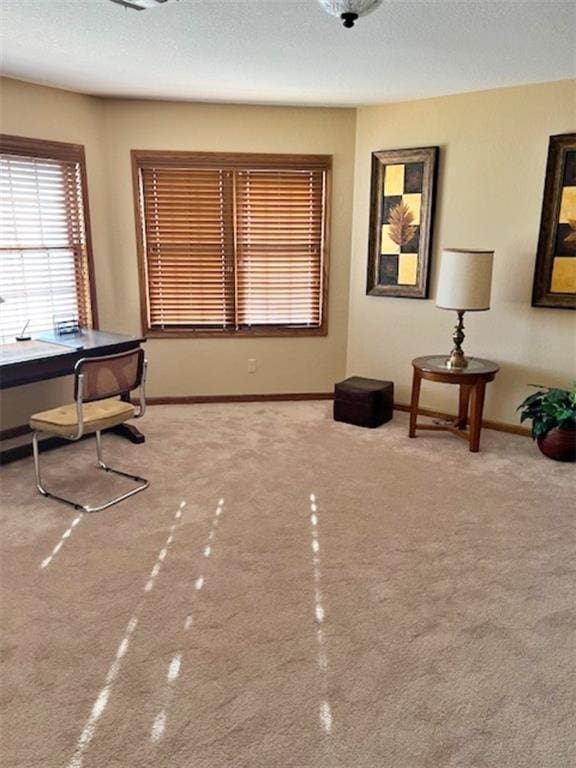 home office with a textured ceiling