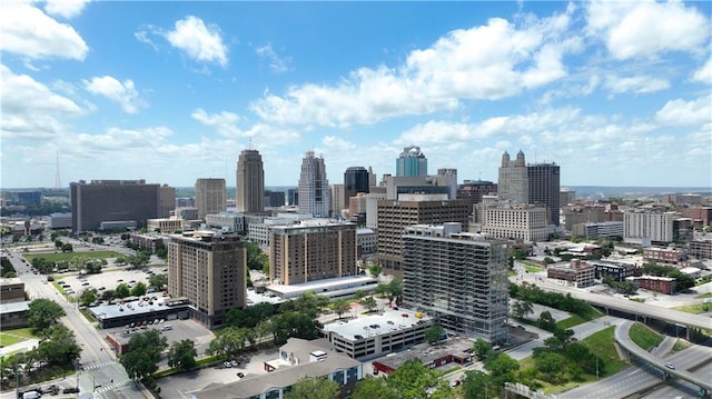 600 E Admiral Blvd Unit 704, Kansas City, MO 64106 - skyline view