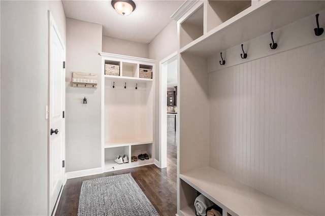 mudroom featuring dark hardwood / wood-style flooring