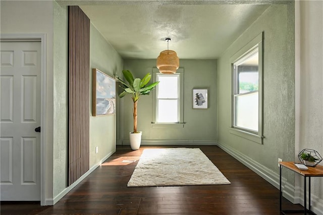 entryway with dark hardwood / wood-style floors