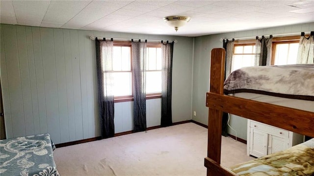 bedroom with light carpet