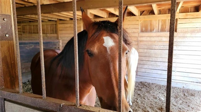 view of horse barn