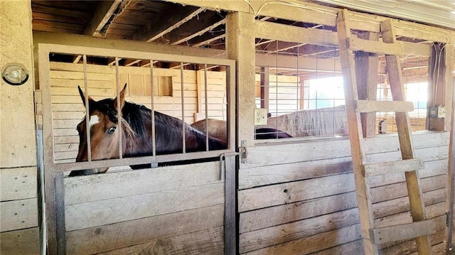 view of horse barn