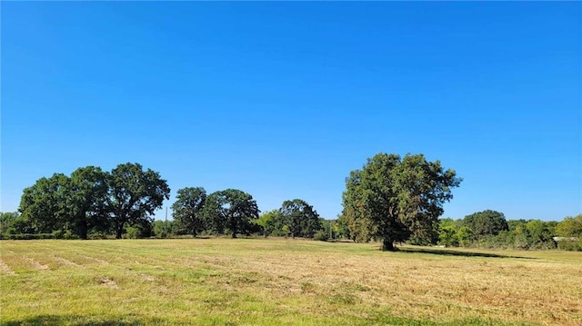 view of local wilderness with a rural view