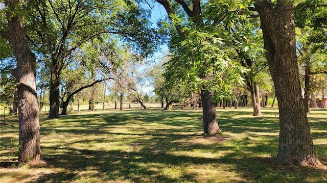 view of community with a lawn