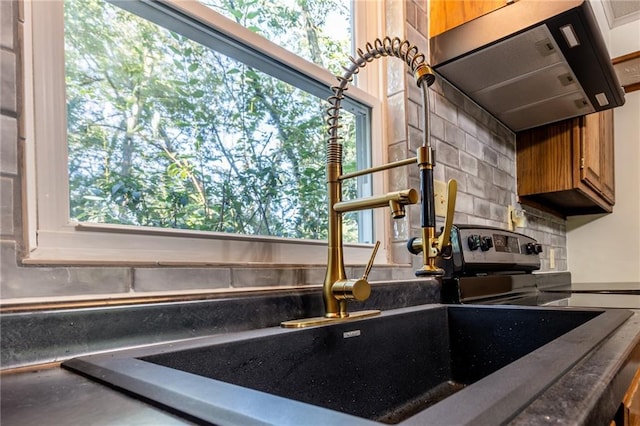 interior details with brown cabinetry and extractor fan