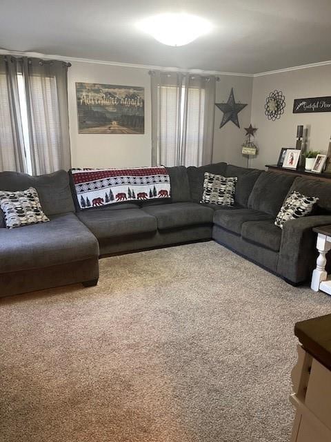 carpeted living room with crown molding