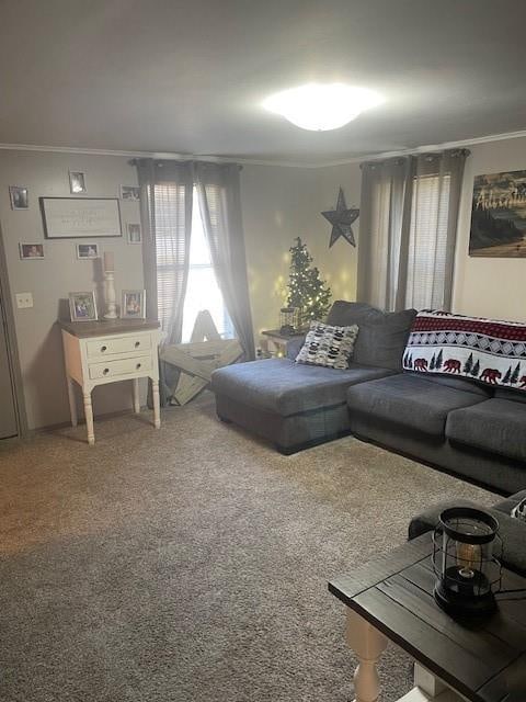 carpeted living room featuring crown molding