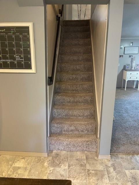 staircase with mail boxes and carpet