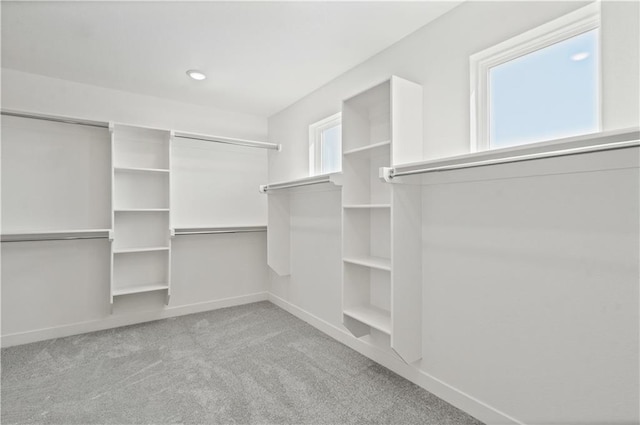 walk in closet with carpet flooring