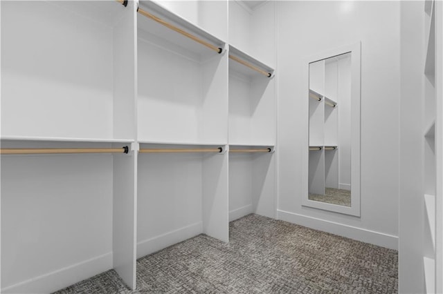1511 SW Arbor Park Dr, Lees Summit, MO 64082 - spacious closet with carpet flooring