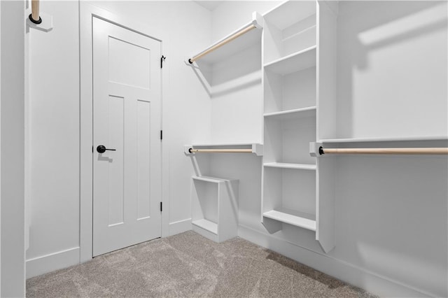 1511 SW Arbor Park Dr, Lees Summit, MO 64082 - walk in closet featuring carpet flooring
