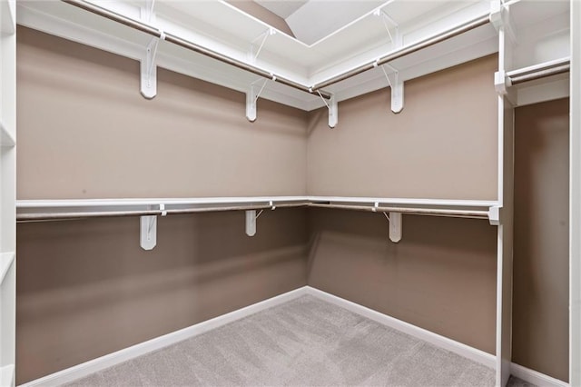 spacious closet featuring carpet