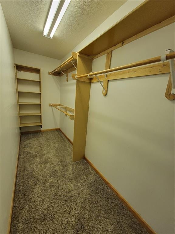 walk in closet featuring carpet flooring