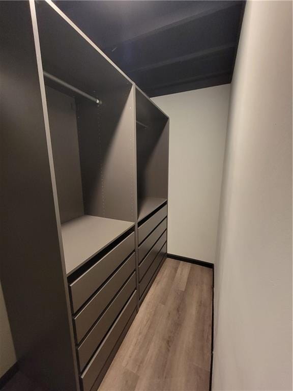 spacious closet with hardwood / wood-style flooring