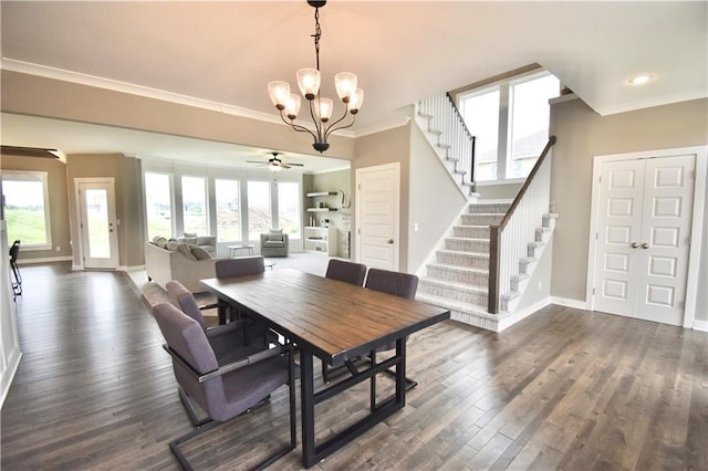 dining room featuring ceiling fan with notable chandelier, dark wood-type flooring, ornamental molding, and a wealth of natural light