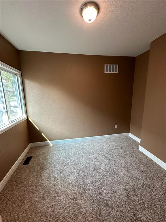 carpeted empty room featuring a textured ceiling