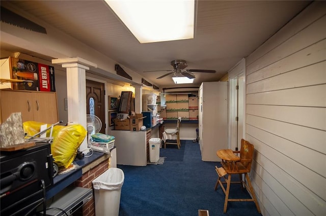 storage room featuring ceiling fan