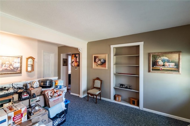 interior space featuring carpet floors