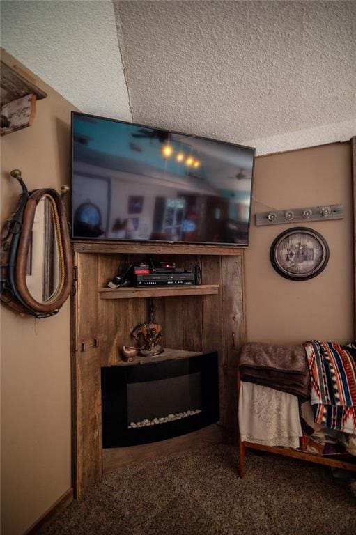 interior details with carpet and a textured ceiling