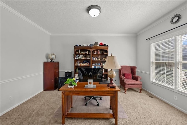 carpeted office space featuring crown molding and a textured ceiling