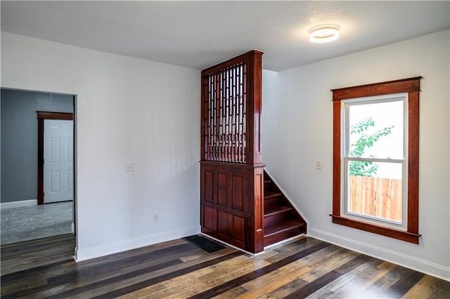 entryway featuring dark wood-type flooring