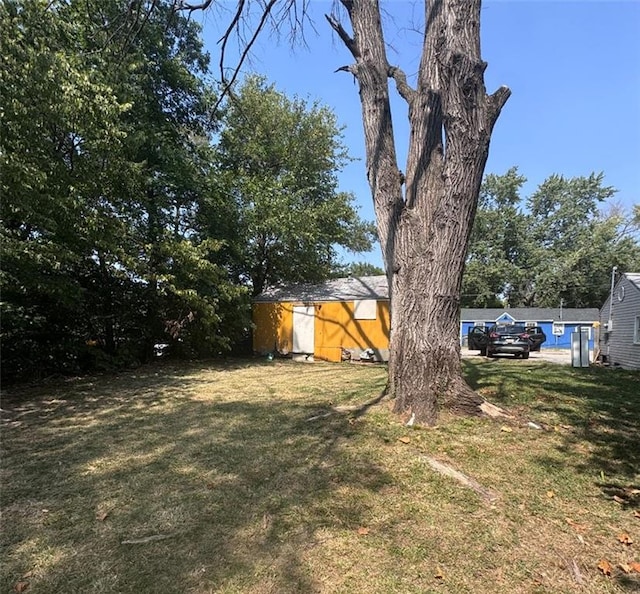 view of yard with a storage unit