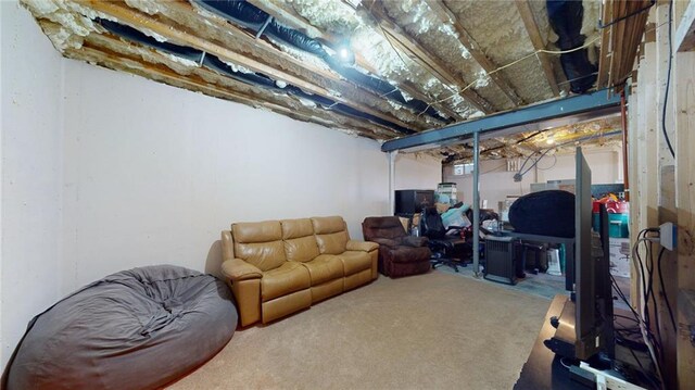 basement with carpet flooring