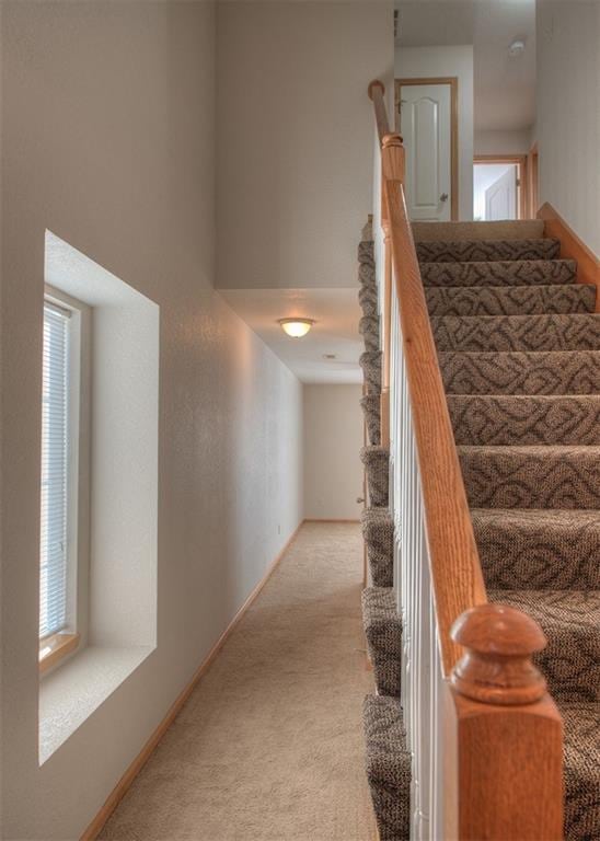 stairs featuring carpet floors