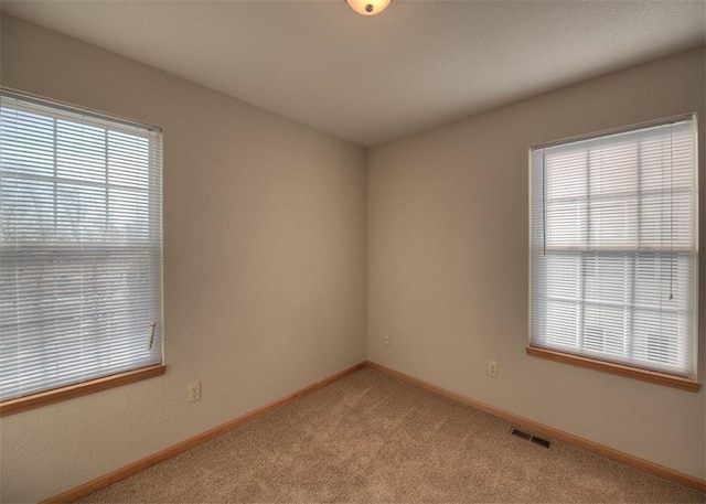 unfurnished room featuring light carpet and a healthy amount of sunlight