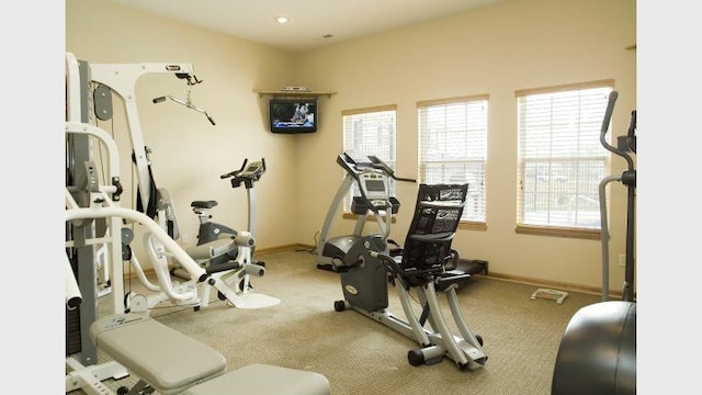 exercise room featuring carpet flooring