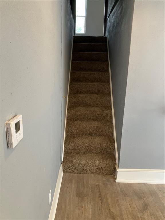 staircase featuring wood-type flooring