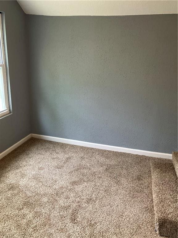 empty room featuring carpet