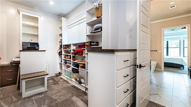 walk in closet with carpet floors