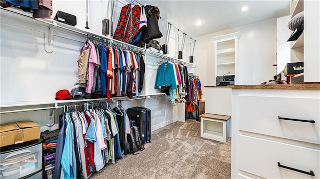 spacious closet with carpet floors