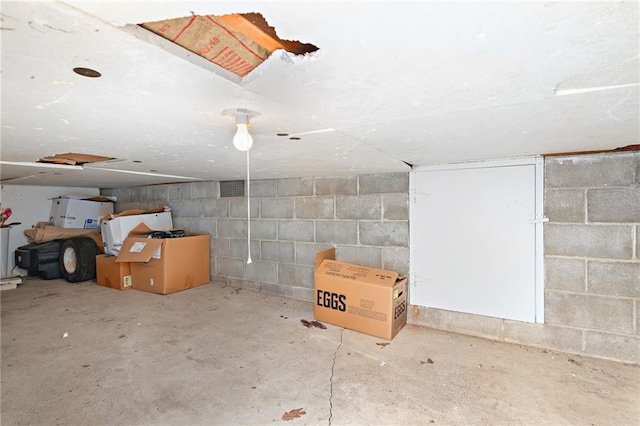 basement with concrete block wall