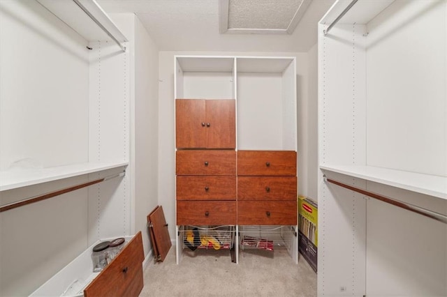 spacious closet featuring light carpet