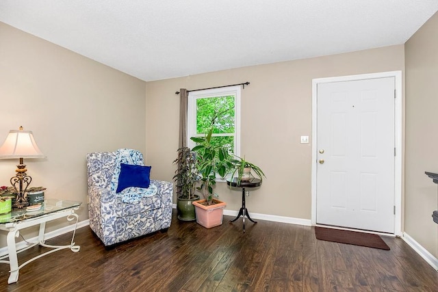 foyer featuring dark wood-type flooring