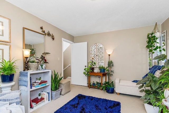 sitting room featuring carpet flooring and a textured ceiling