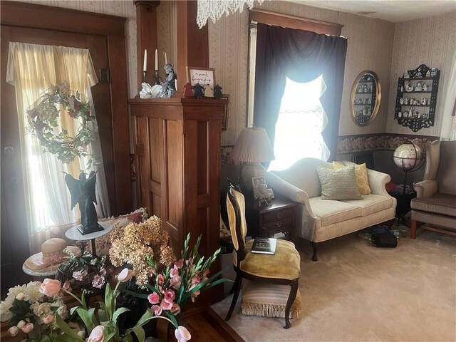 living room featuring a fireplace and carpet floors