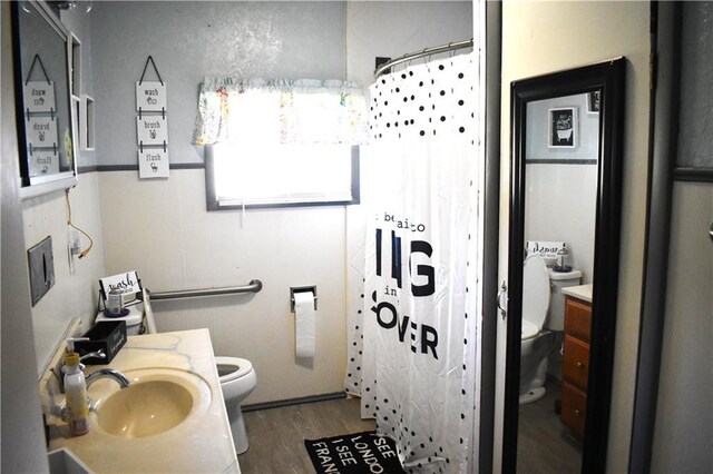 bathroom featuring walk in shower, toilet, hardwood / wood-style flooring, and vanity