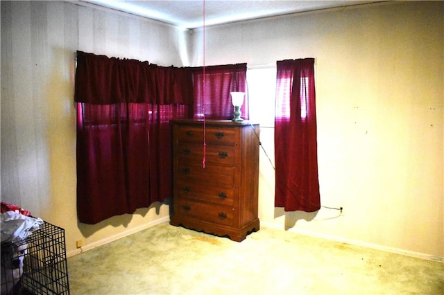 bedroom featuring carpet floors