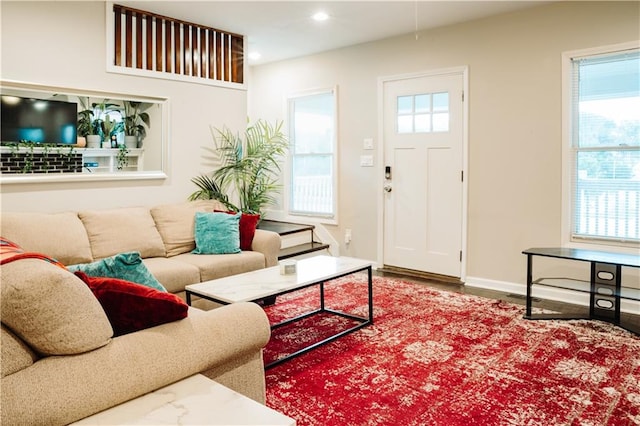 living room featuring hardwood / wood-style floors and a wealth of natural light