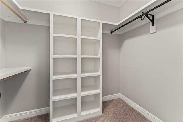 walk in closet featuring carpet floors