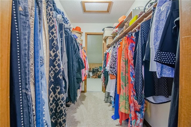 spacious closet featuring carpet