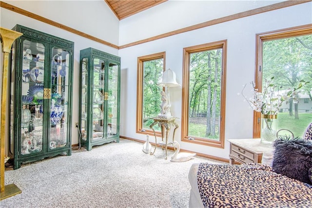 interior space with carpet flooring, lofted ceiling, and wood ceiling