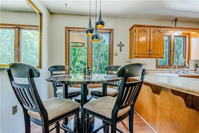 dining room with light hardwood / wood-style floors and sink