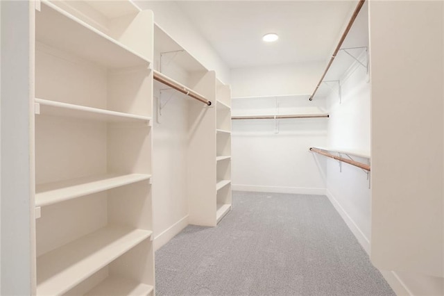 spacious closet featuring carpet flooring