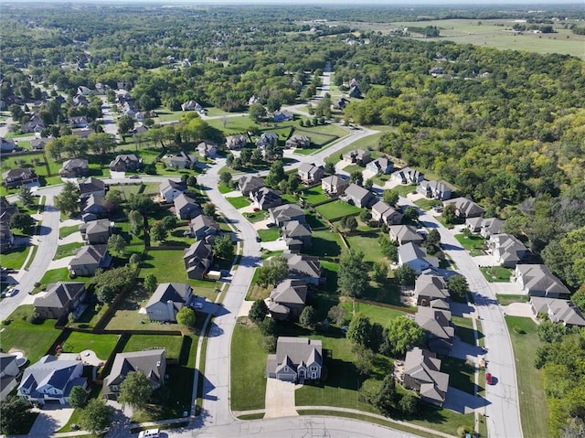 bird's eye view